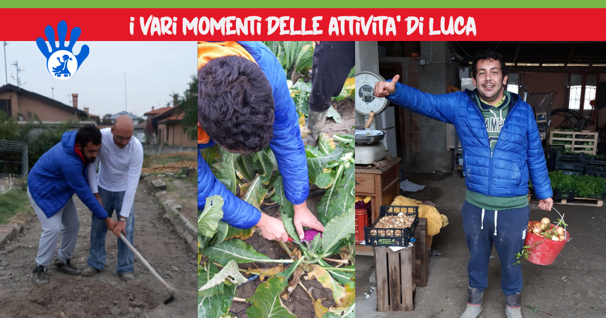 UnamanoperLuca_Orti Sociali di Una mano per... UnamanoperLuca_Orti Sociali-Una mano per...