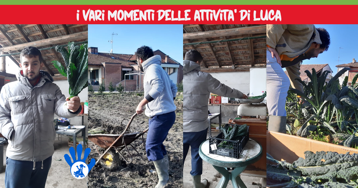 UnamanoperLuca_Orti Sociali di Una mano per... UnamanoperLuca_Orti Sociali-Una mano per...