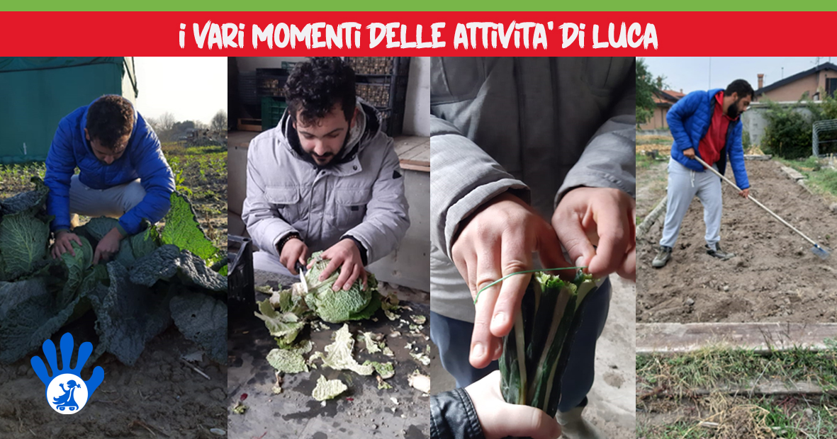 UnamanoperLuca_Orti Sociali di Una mano per... UnamanoperLuca_Orti Sociali-Una mano per...