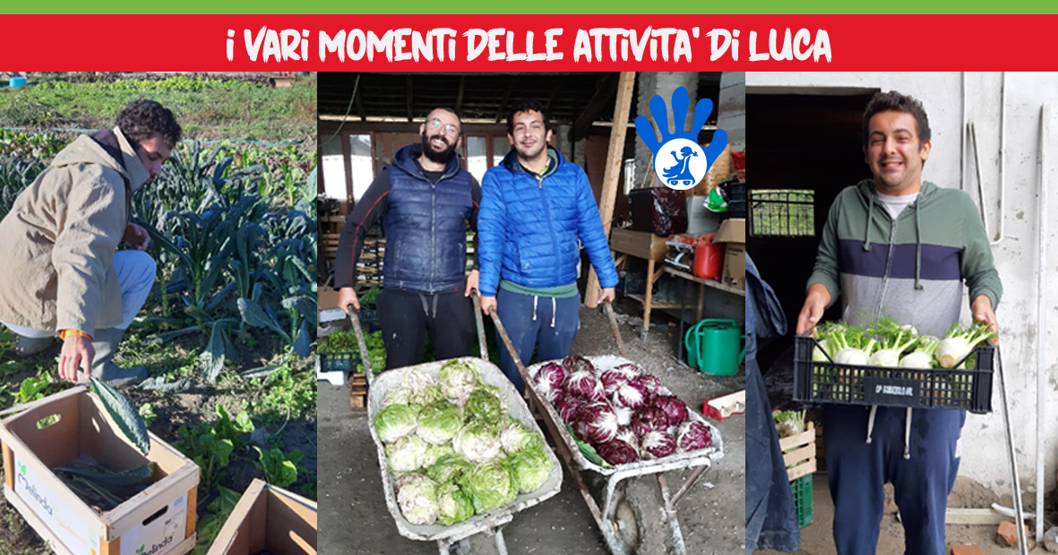 UnamanoperLuca_Orti Sociali di Una mano per... UnamanoperLuca_Orti Sociali-Una mano per...