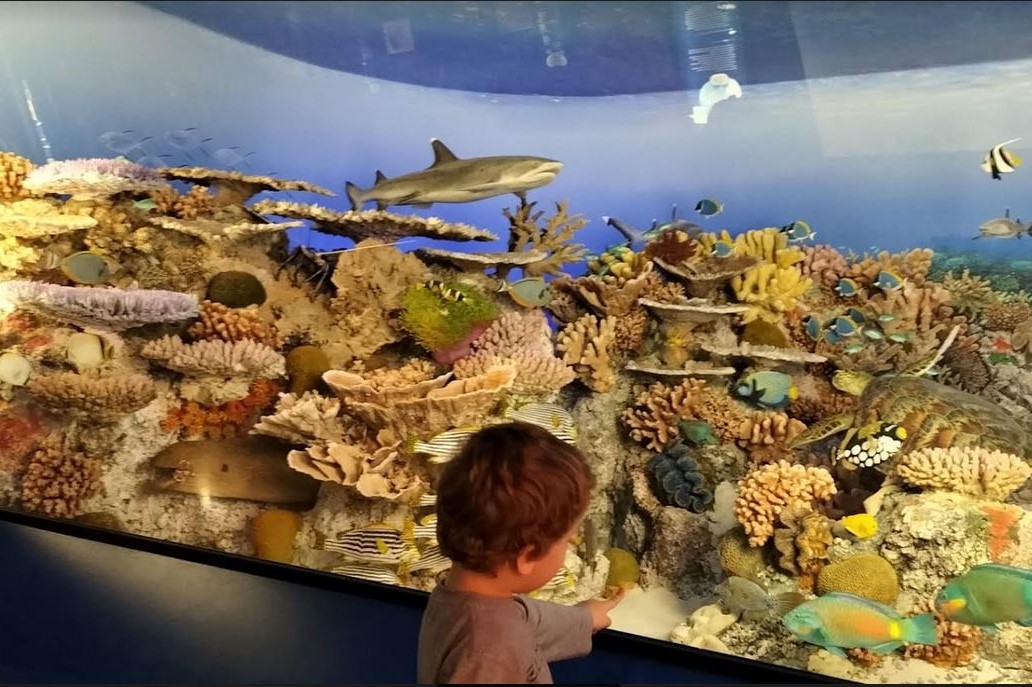 AFFIDO CULTURALE MILANO di APS MITADES AFFIDO CULTURALE MILANO -APS MITADES