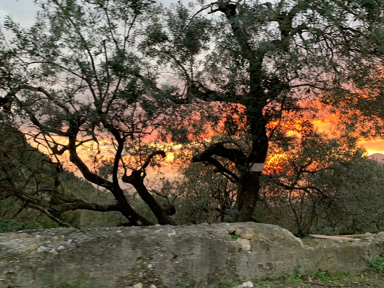 Gli Amici di Nanà – La Collina di EY Foundation Onlus Gli Amici di Nanà – La Collina-EY Foundation Onlus