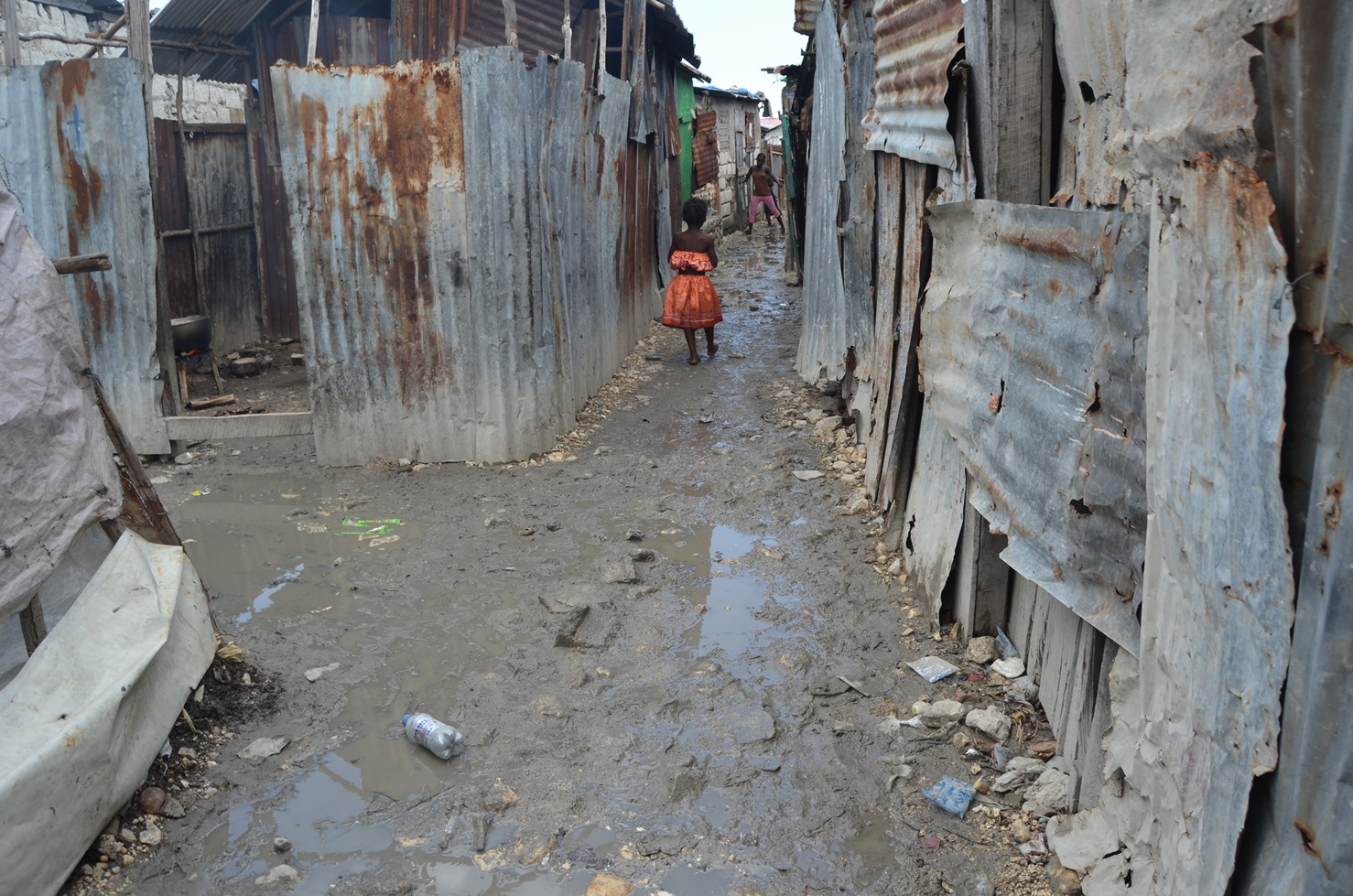 Haiti ha bisogno di noi di L'Albero della Vita Haiti ha bisogno di noi-L'Albero della Vita