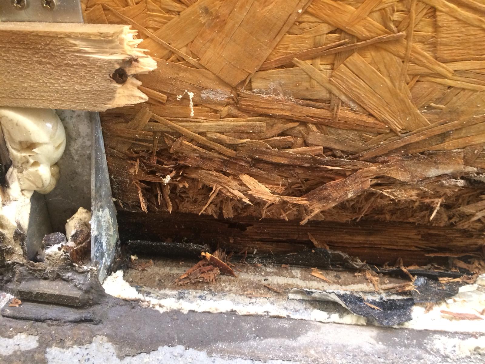 TEATRO DELL'ARCA HELP di Teatro Necessario Onlus TEATRO DELL'ARCA HELP-Teatro Necessario Onlus