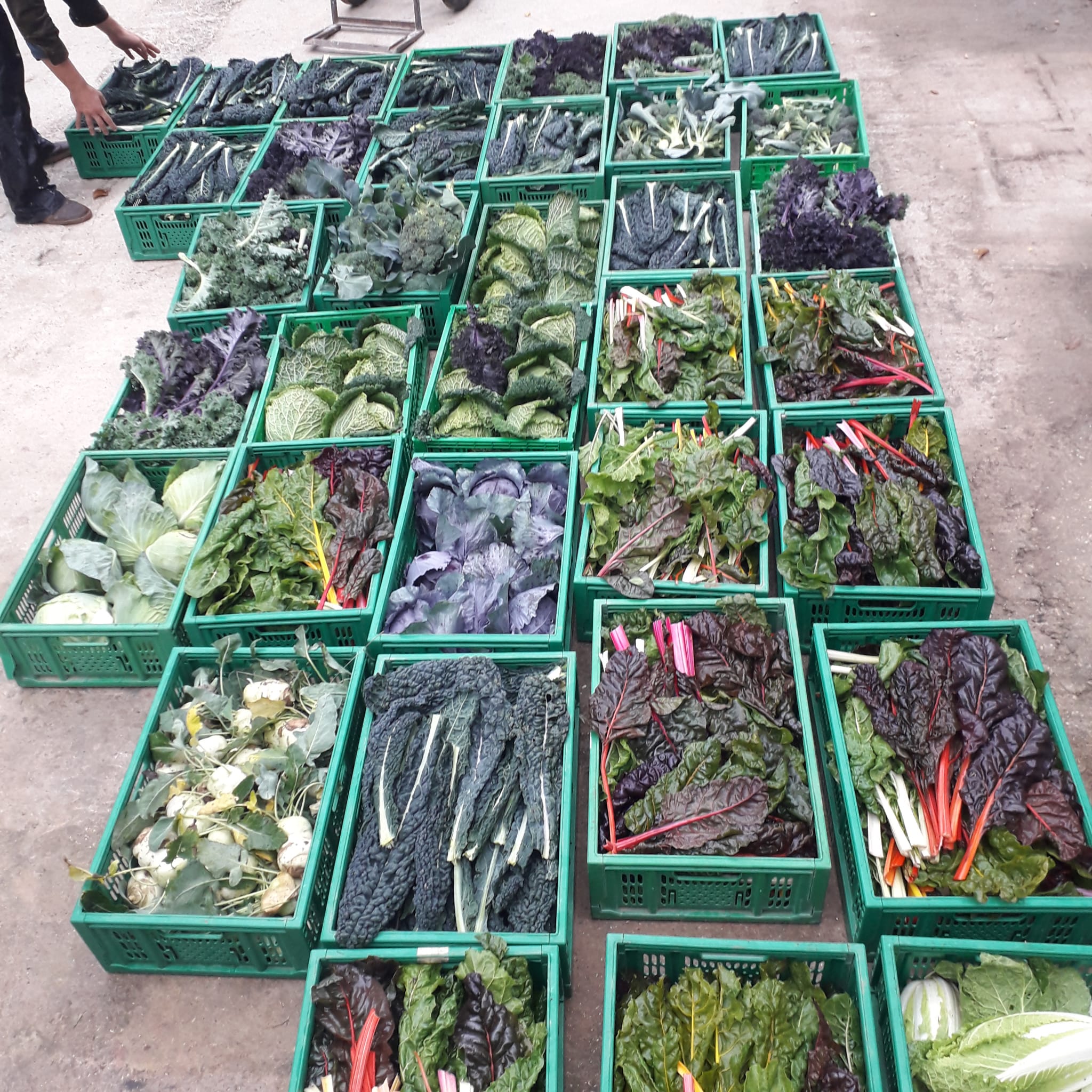 Sostieni Emporium Salus di Eta Beta Sostieni Emporium Salus-Eta Beta