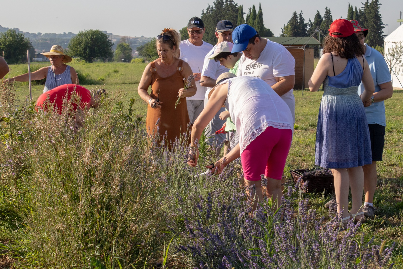 UN PULMINO PER LA PERSONA AL "CENTRO". di Ass. Vivere Sereni UN PULMINO PER LA PERSONA AL "CENTRO".-Ass. Vivere Sereni
