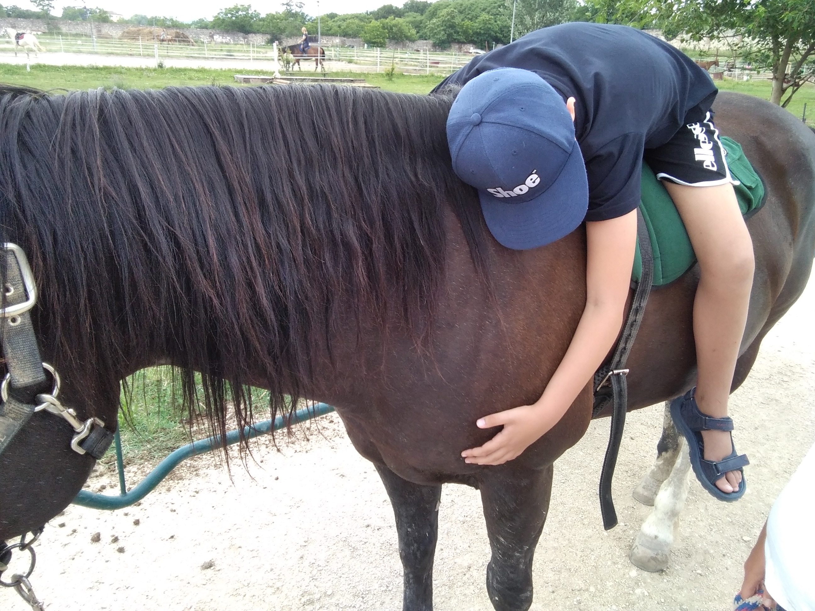 Riding the Blue - Un cavallo per amico di EY Foundation Onlus Riding the Blue - Un cavallo per amico -EY Foundation Onlus