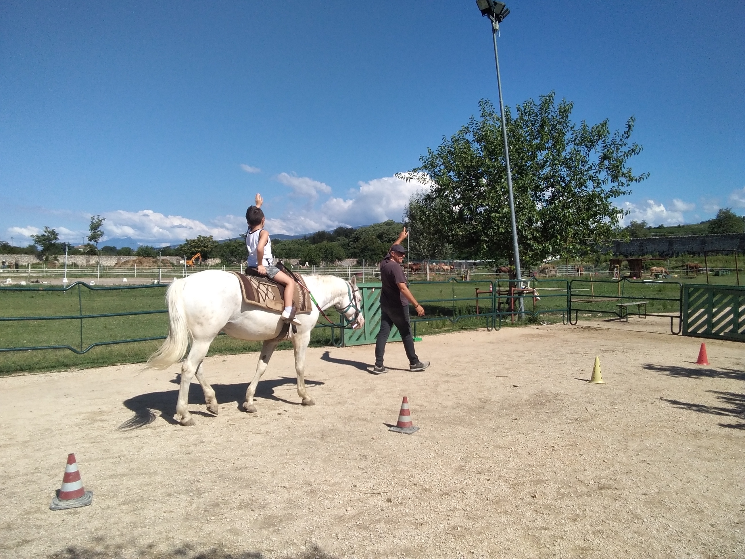 Riding the Blue - Un cavallo per amico di EY Foundation Onlus Riding the Blue - Un cavallo per amico -EY Foundation Onlus