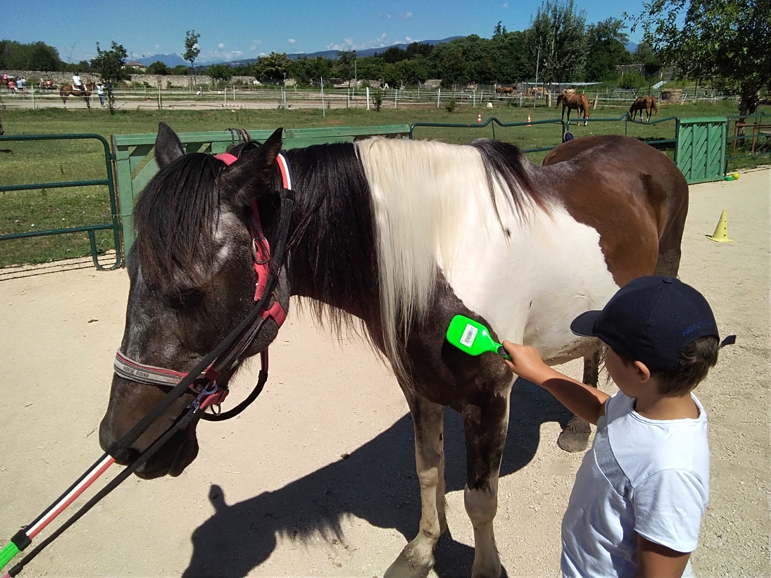 Riding the Blue - Un cavallo per amico di EY Foundation Onlus Riding the Blue - Un cavallo per amico -EY Foundation Onlus