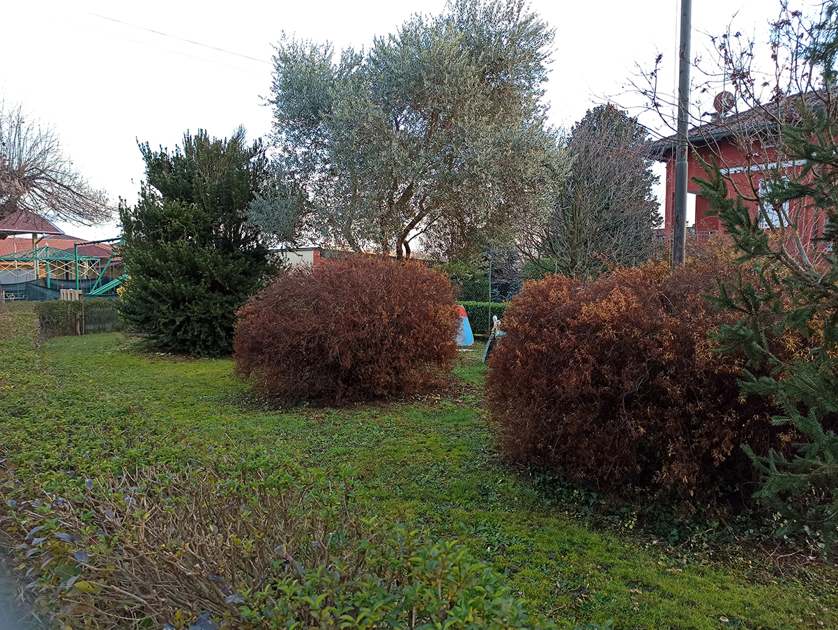 Il Giardino dei Piccoli di ROTARY CLUB VALLE MOSSO Il Giardino dei Piccoli-ROTARY CLUB VALLE MOSSO