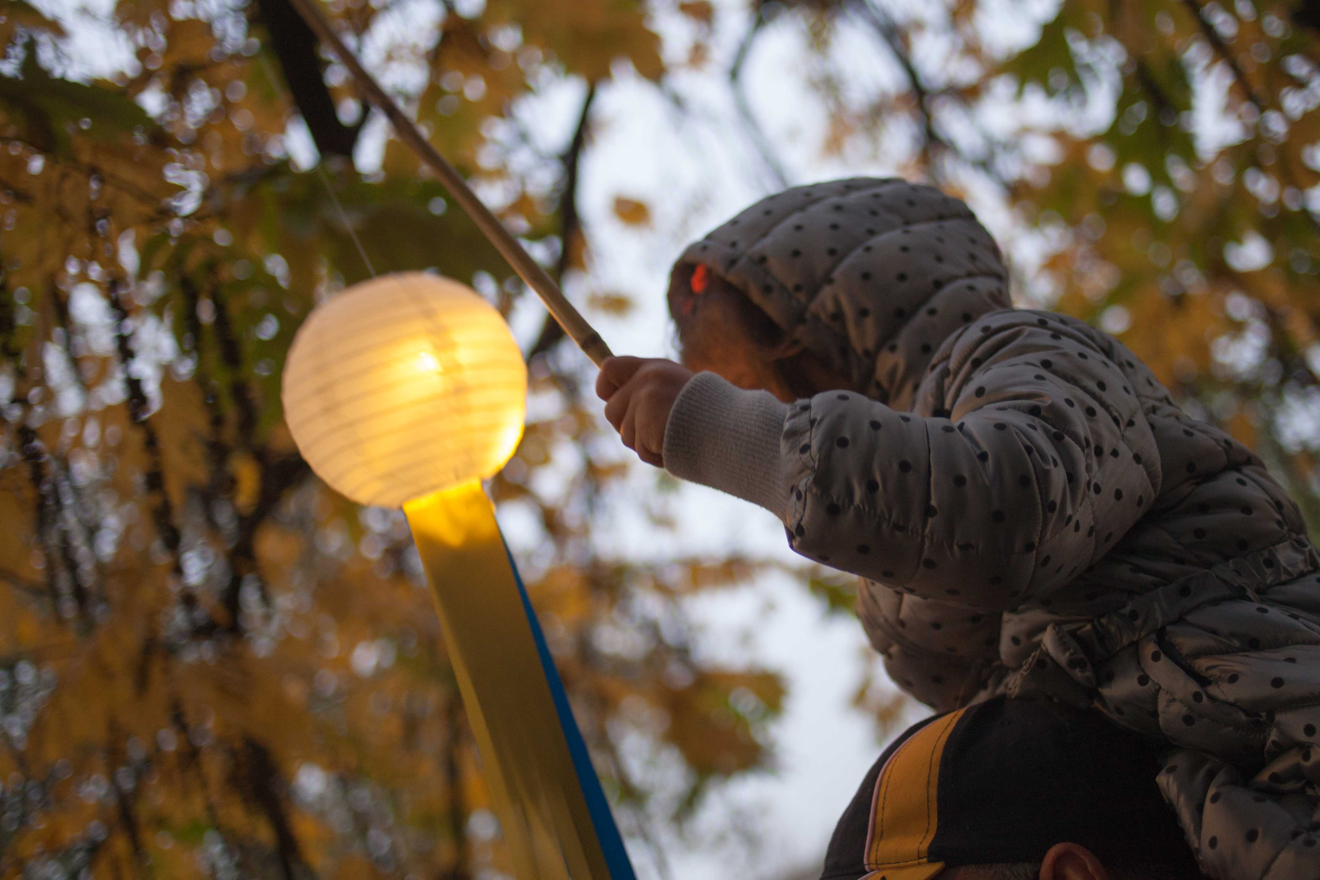 Festival Abbraccia la meraviglia di FORMATTART Festival Abbraccia la meraviglia-FORMATTART