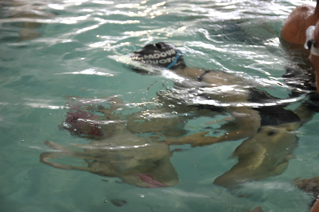 I SWIM SMA di SMAile I SWIM SMA-SMAile