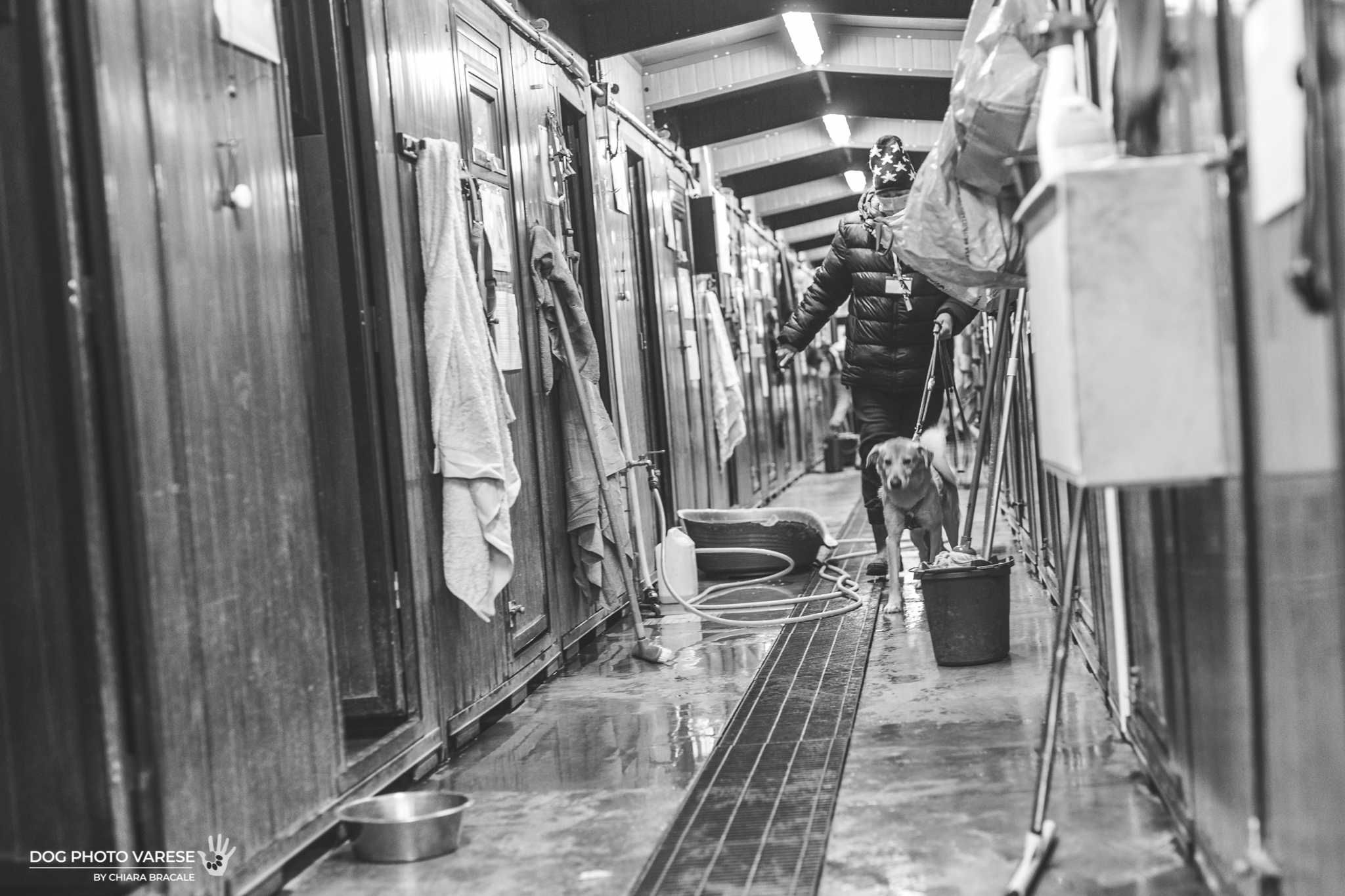 SCALDA CUCCIA PER I 4 ZAMPE DEL CANILE di SCALDA CUCCIA PER I 4 ZAMPE DEL CANILE -