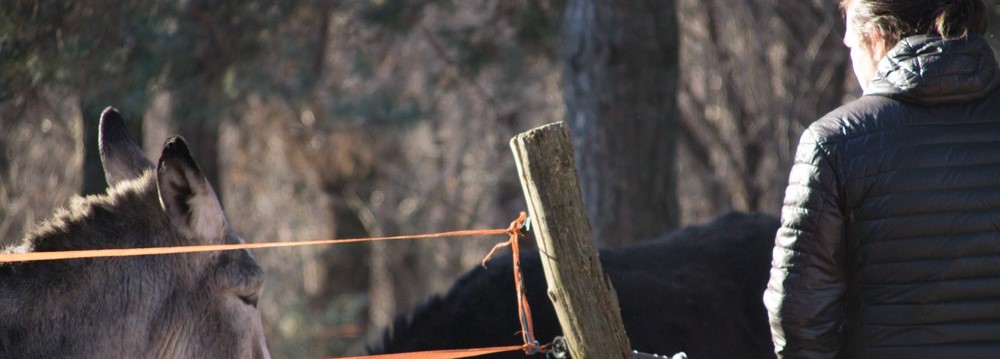 RUN4THEFUTURE degli Ospiti di Bregazzana di Centro Gulliver RUN4THEFUTURE degli Ospiti di Bregazzana-Centro Gulliver