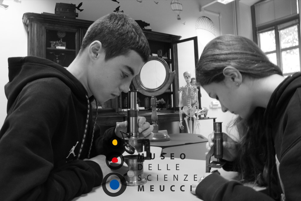 Museo delle Scienze Meucci di I.C. PACCHIOTTI VIA REVEL Museo delle Scienze Meucci-I.C. PACCHIOTTI VIA REVEL