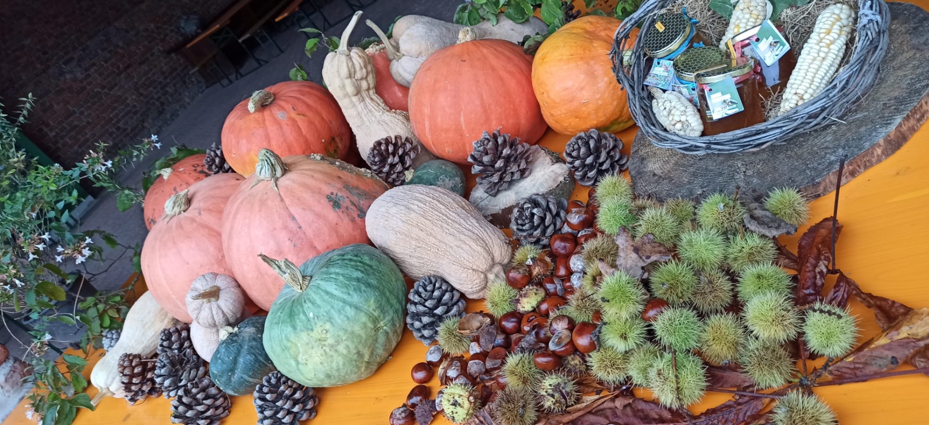 Risottata al Parco di Parco Nord Milano Risottata al Parco-Parco Nord Milano