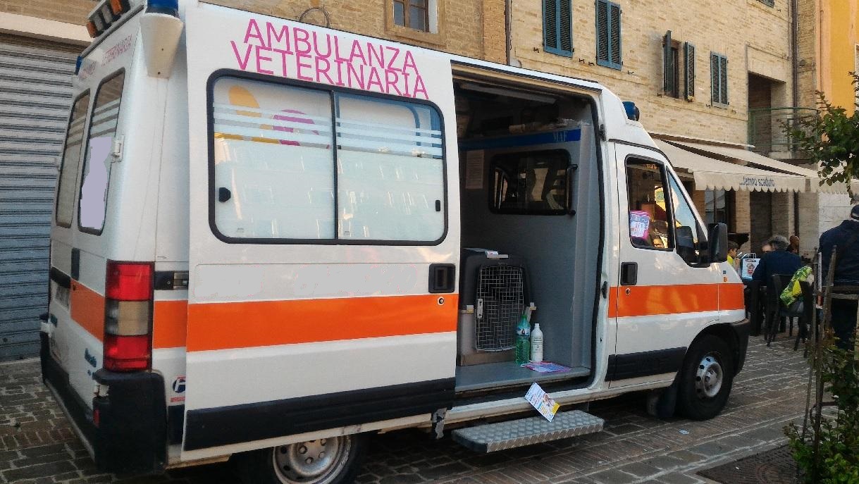 di Gli Amici di Sury -Gli Amici di Sury