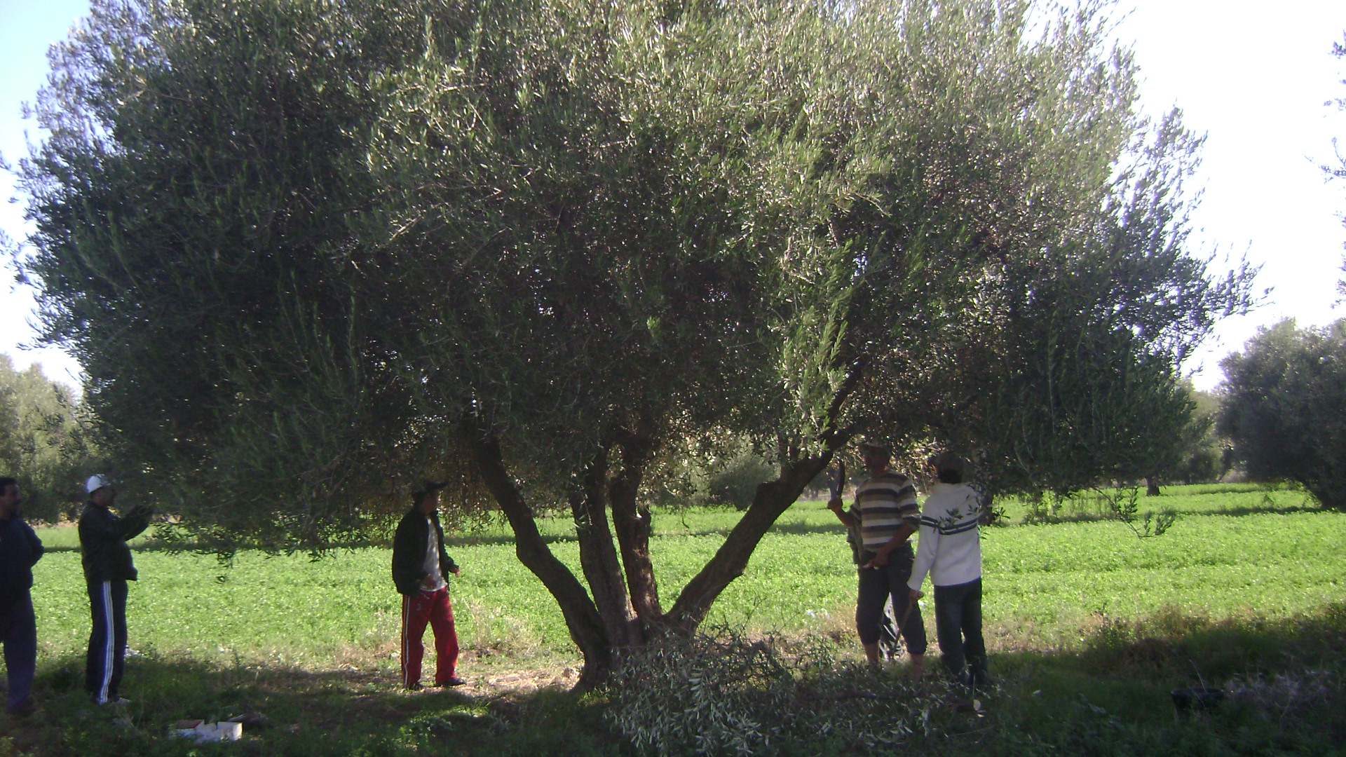 Marocco Sport Challenge di CEFA ONLUS Marocco Sport Challenge-CEFA ONLUS