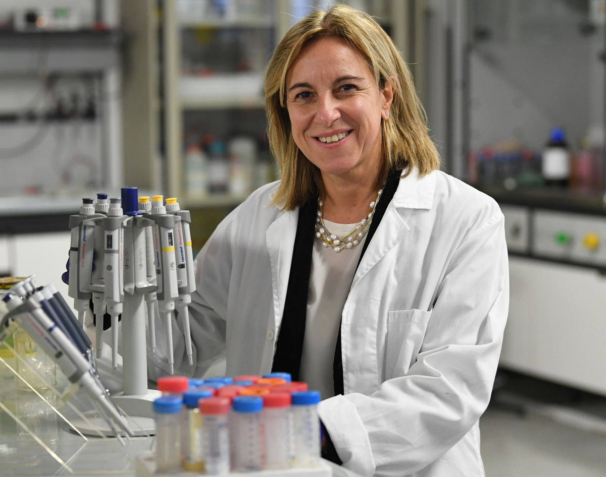 Beat the Beat di La Stella di Lorenzo Beat the Beat -La Stella di Lorenzo