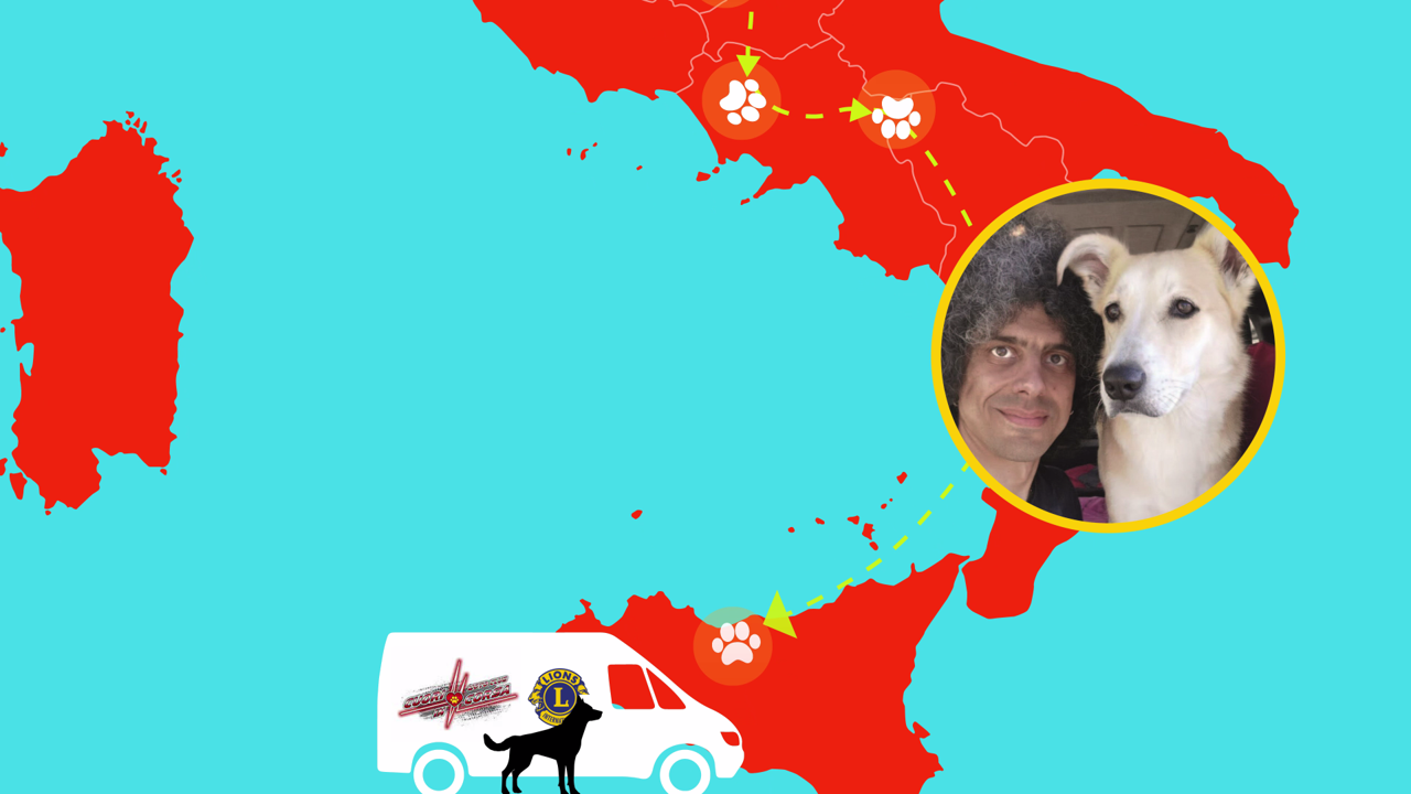 Lions contro l'abbandono e il randagismo di Distretto Lions MilanoCittàMetropolitana Lions contro l'abbandono e il randagismo-Distretto Lions MilanoCittàMetropolitana