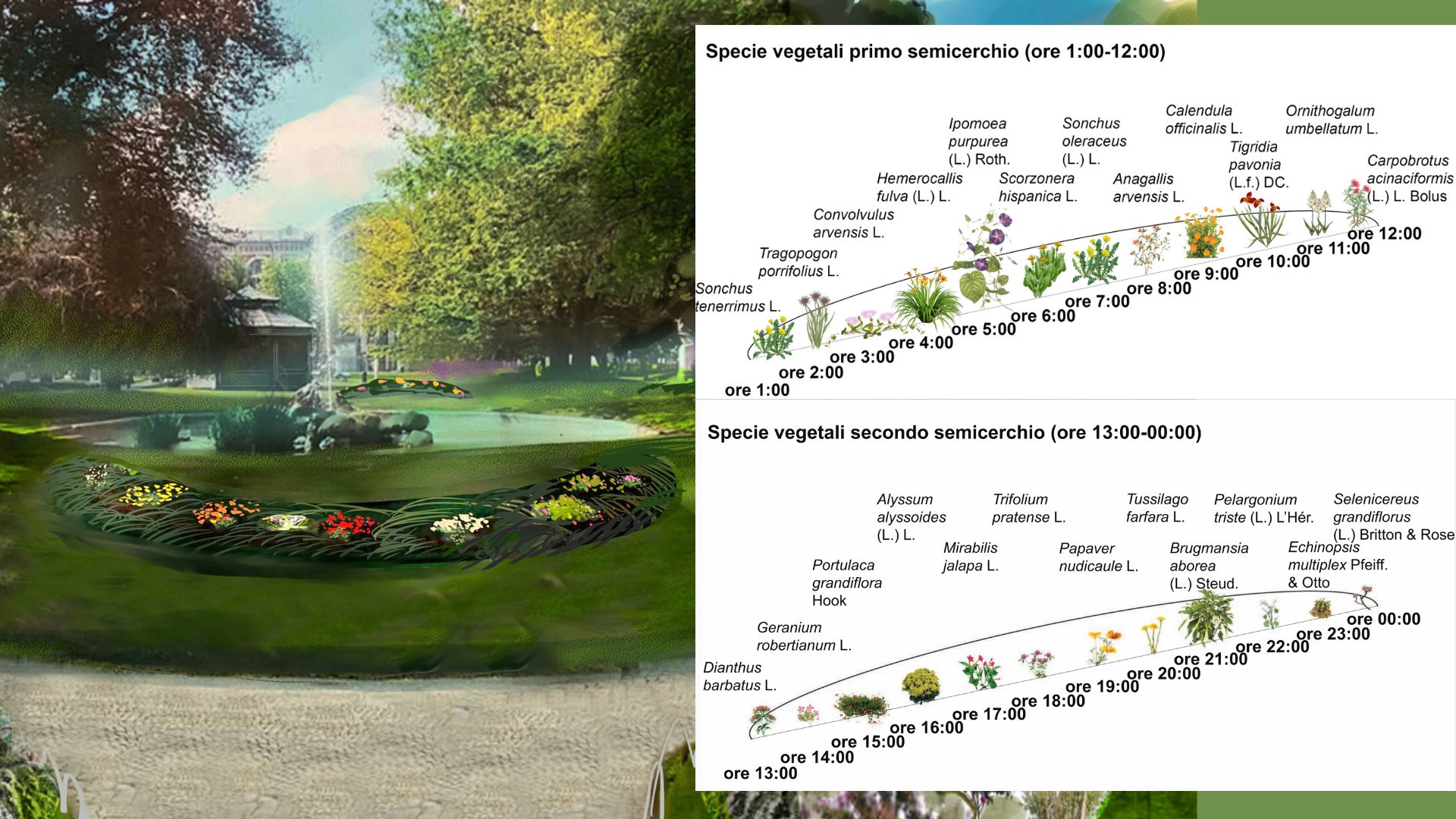 SEMINATO di Giardino forbito SEMINATO -Giardino forbito