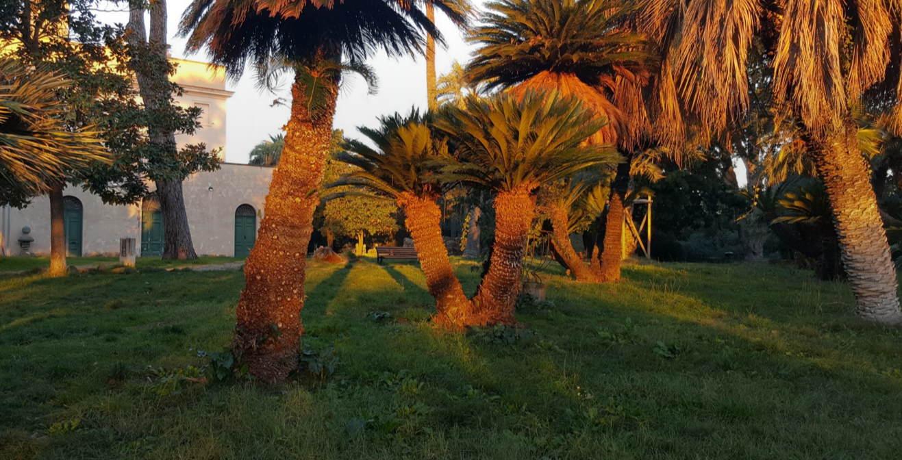 Aiutiamo Villa Sciarra di ADVS Aiutiamo Villa Sciarra-ADVS