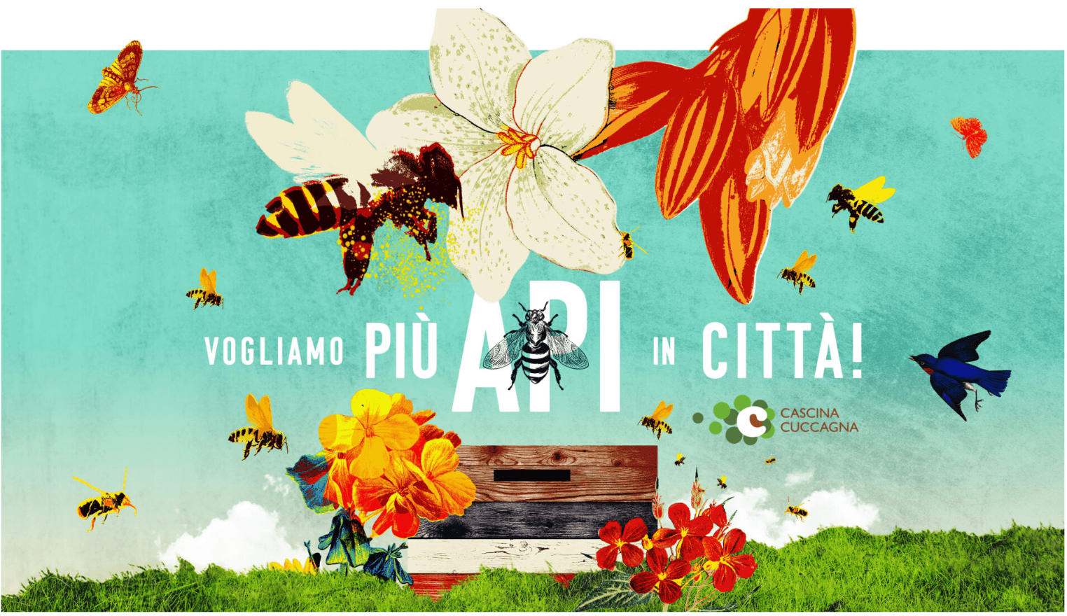 Vogliamo più api in città! di Cascina Cuccagna Vogliamo più api in città!-Cascina Cuccagna