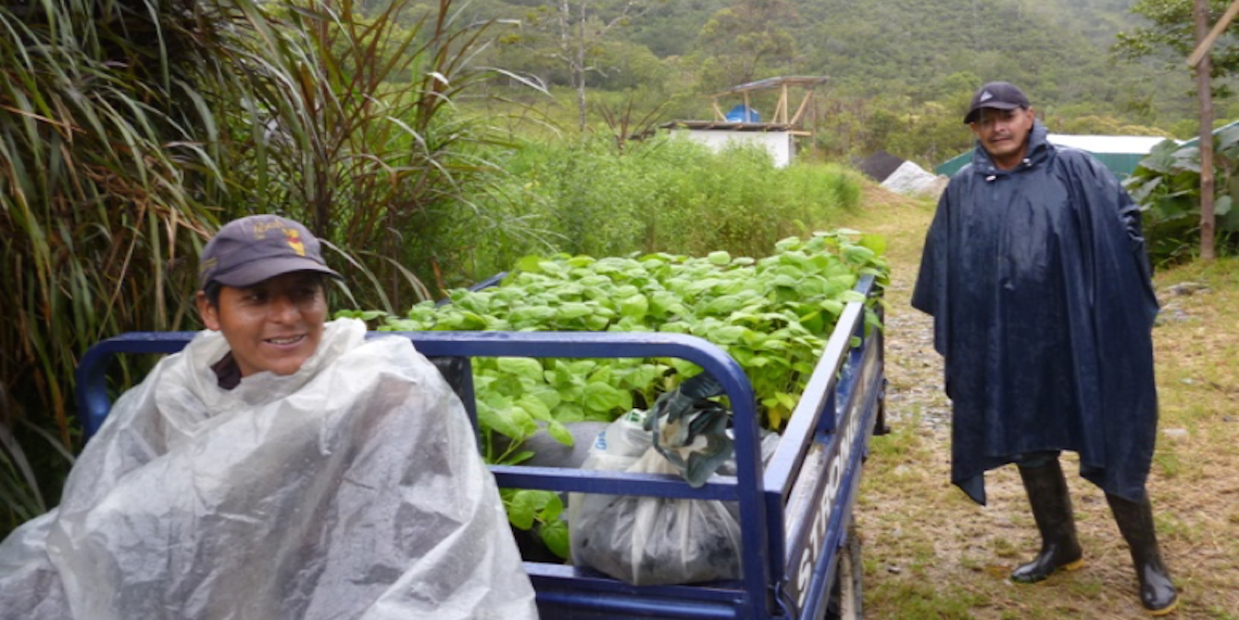 L’Amazzonia: un polmone da difendere di Fratelli dell'Uomo L’Amazzonia: un polmone da difendere-Fratelli dell'Uomo