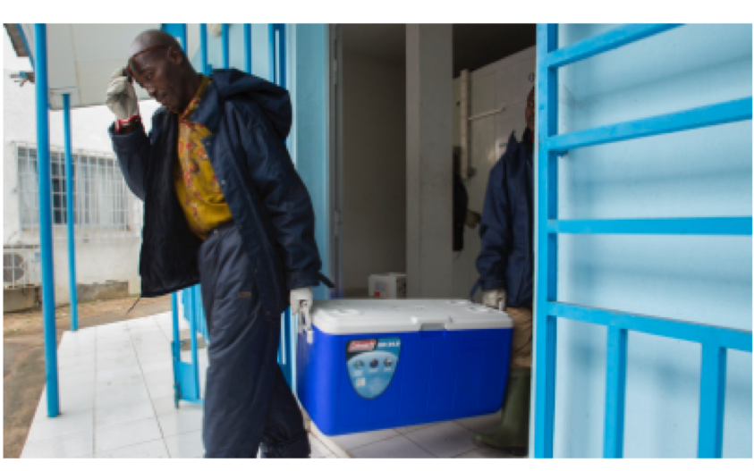 Run for Polio 2024 Rotary Distretto 2080 di Rotary International Distretto 2080 Run for Polio 2024 Rotary Distretto 2080-Rotary International Distretto 2080