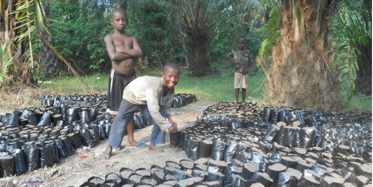 Un cuore per la Sierra Leone di COOPI Un cuore per la Sierra Leone-COOPI