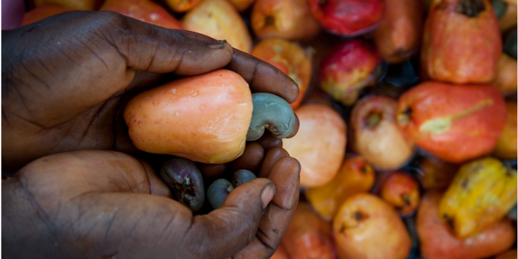 Un cuore per la Sierra Leone di COOPI Un cuore per la Sierra Leone-COOPI