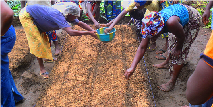 Un cuore per la Sierra Leone di COOPI Un cuore per la Sierra Leone-COOPI