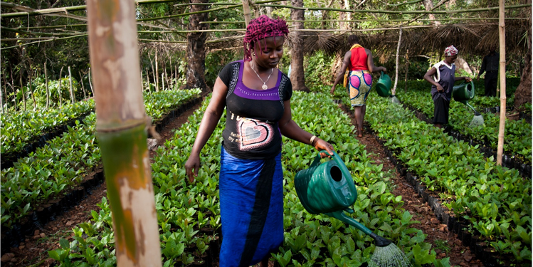Un cuore per la Sierra Leone di COOPI Un cuore per la Sierra Leone-COOPI