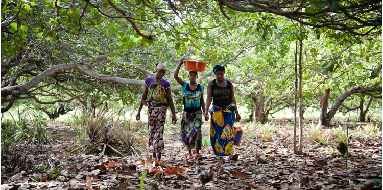 Un cuore per la Sierra Leone di COOPI Un cuore per la Sierra Leone-COOPI