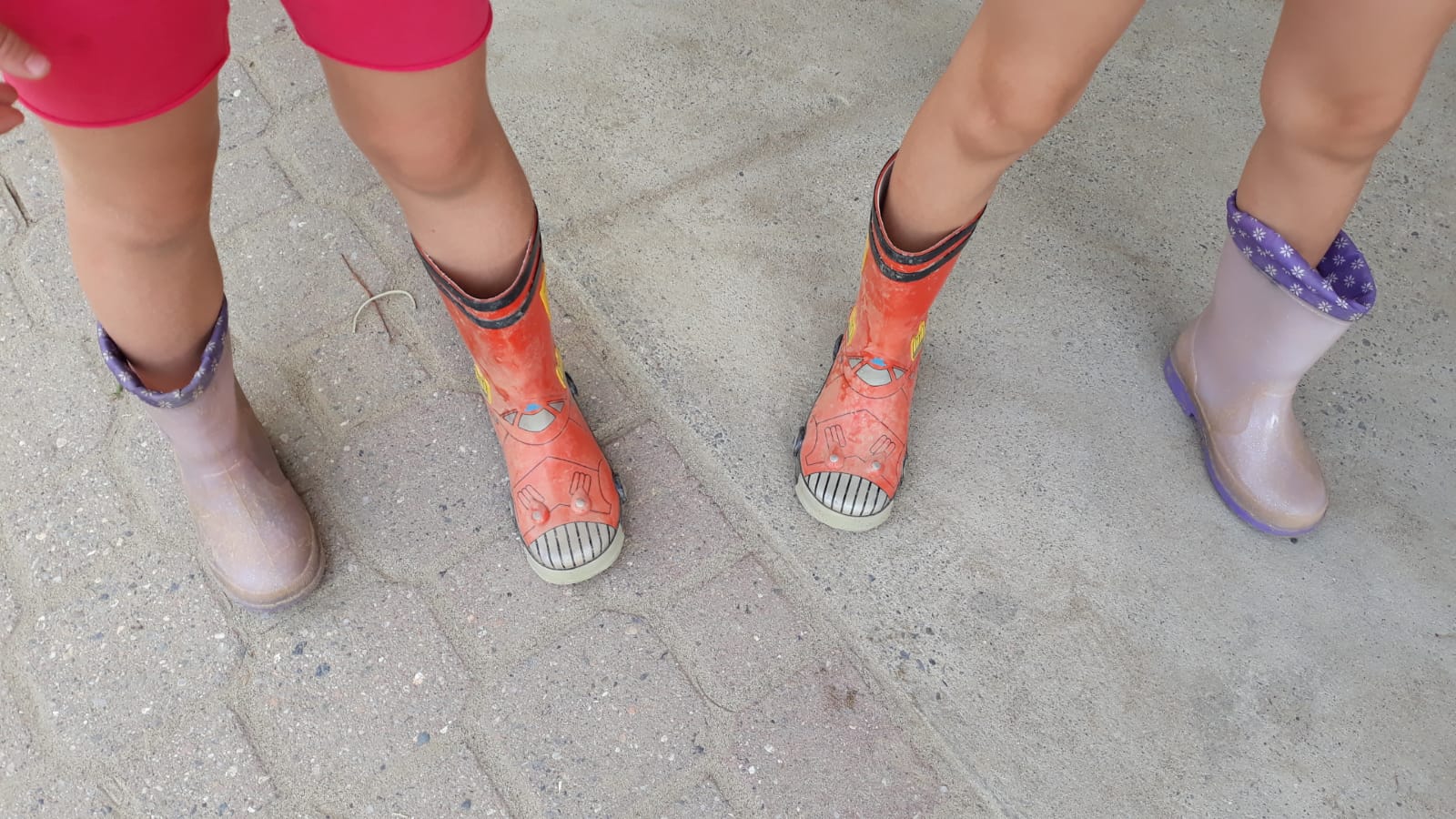 SOGNI NEL CASSETTO E.... SOTTO L'ALBERO di PROGETTO SOCIALE COOPERATIVA SOCIALE SOGNI NEL CASSETTO E.... SOTTO L'ALBERO-PROGETTO SOCIALE COOPERATIVA SOCIALE