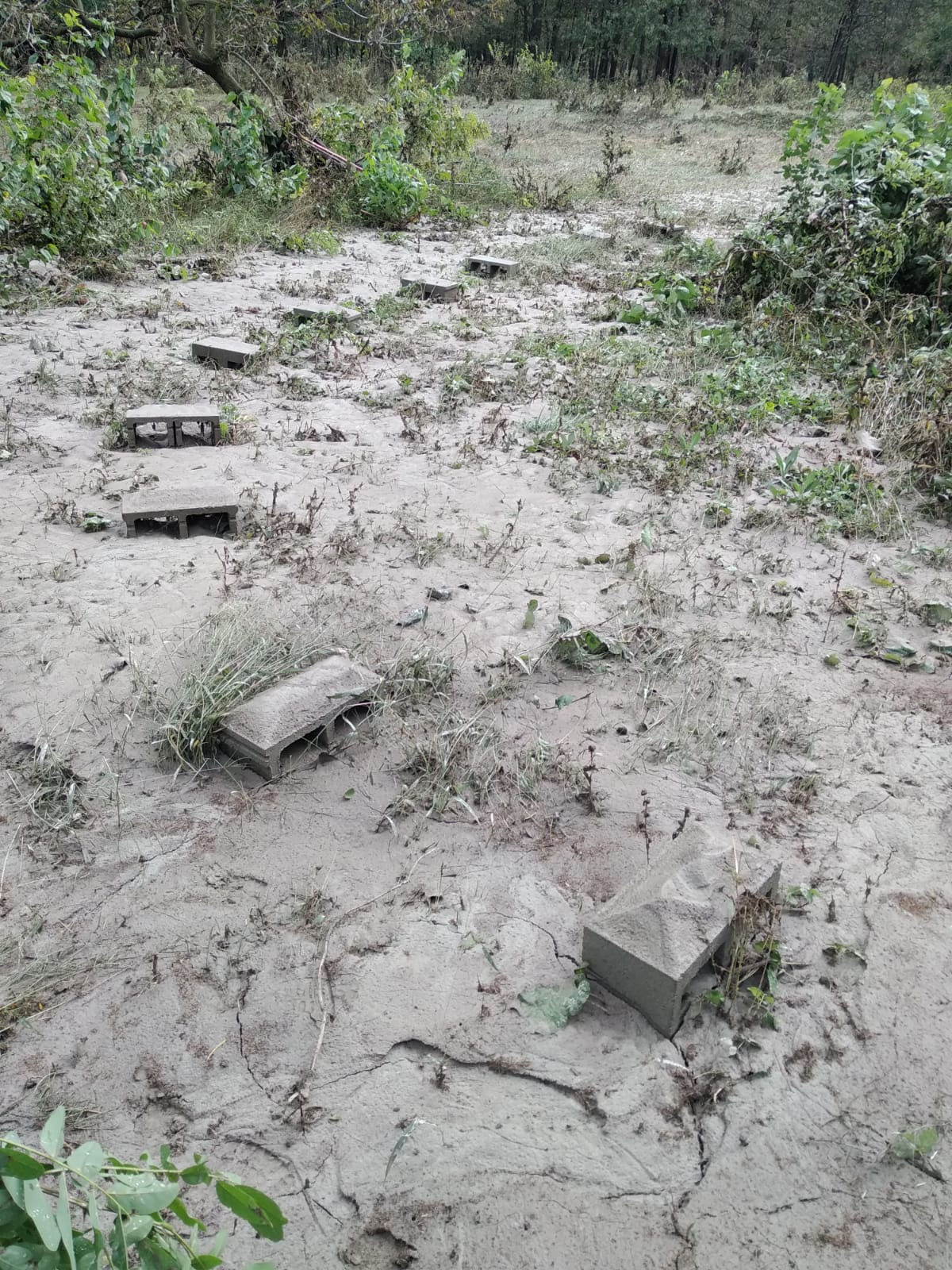 Ridiamo le Api agli Apicoltori! di Ass. Apicoltori AVVG Ridiamo le Api agli Apicoltori!-Ass. Apicoltori AVVG