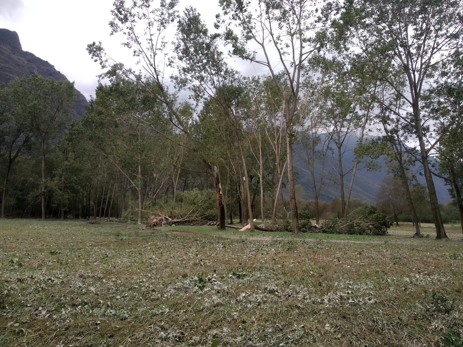 Ridiamo le Api agli Apicoltori! di Ass. Apicoltori AVVG Ridiamo le Api agli Apicoltori!-Ass. Apicoltori AVVG