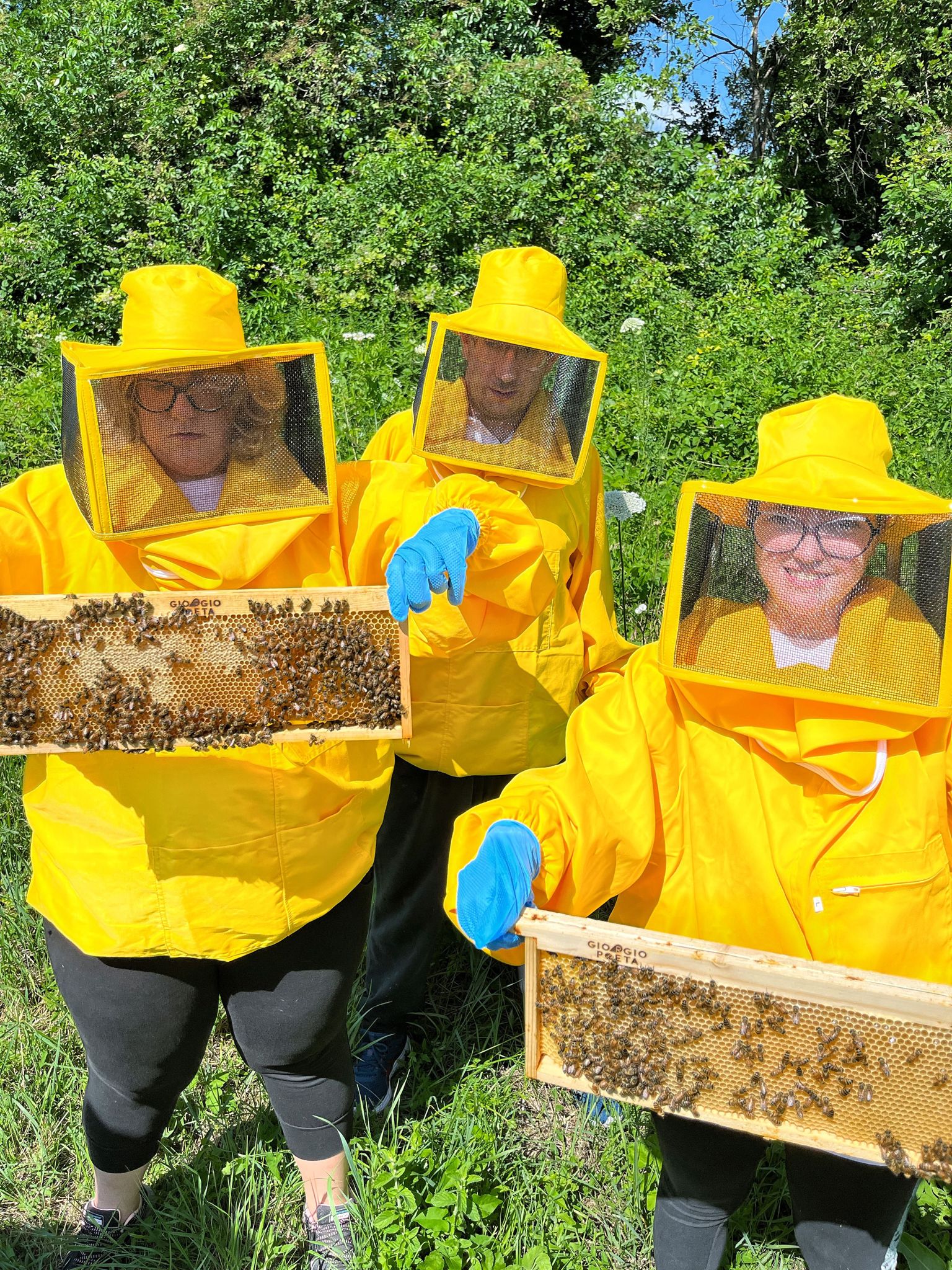 BeeFrolla - Dolci come il miele di Frolla Microbiscottificio BeeFrolla - Dolci come il miele-Frolla Microbiscottificio