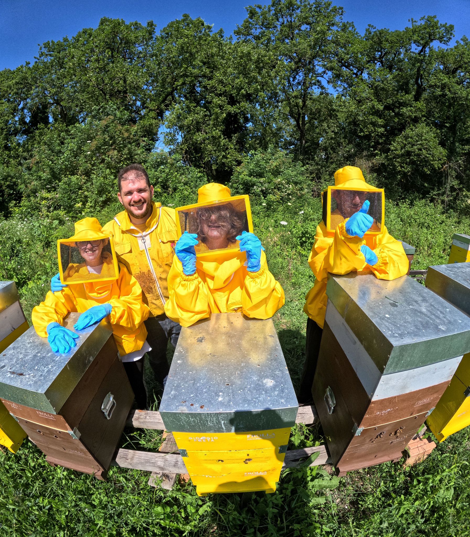 BeeFrolla - Dolci come il miele di Frolla Microbiscottificio BeeFrolla - Dolci come il miele-Frolla Microbiscottificio