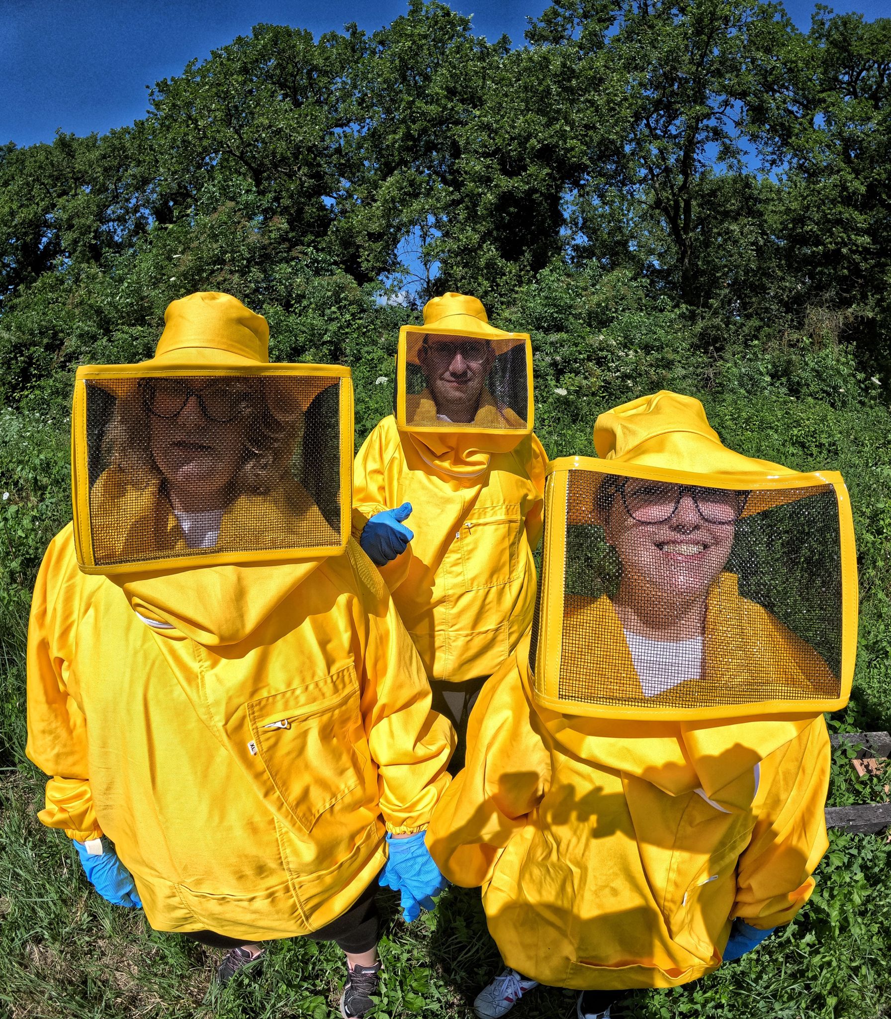 BeeFrolla - Dolci come il miele di Frolla Microbiscottificio BeeFrolla - Dolci come il miele-Frolla Microbiscottificio