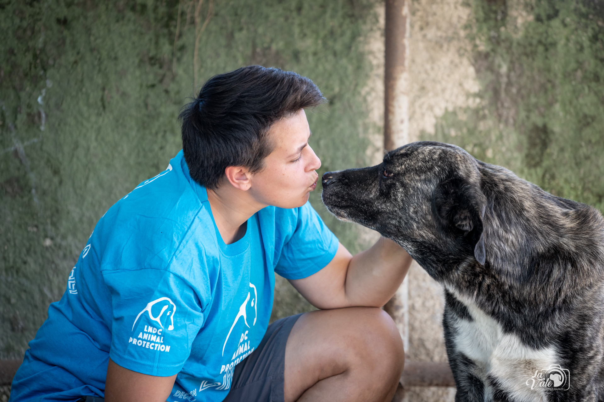Salviamo i cani di Pescara di LNDC Pescara Salviamo i cani di Pescara-LNDC Pescara