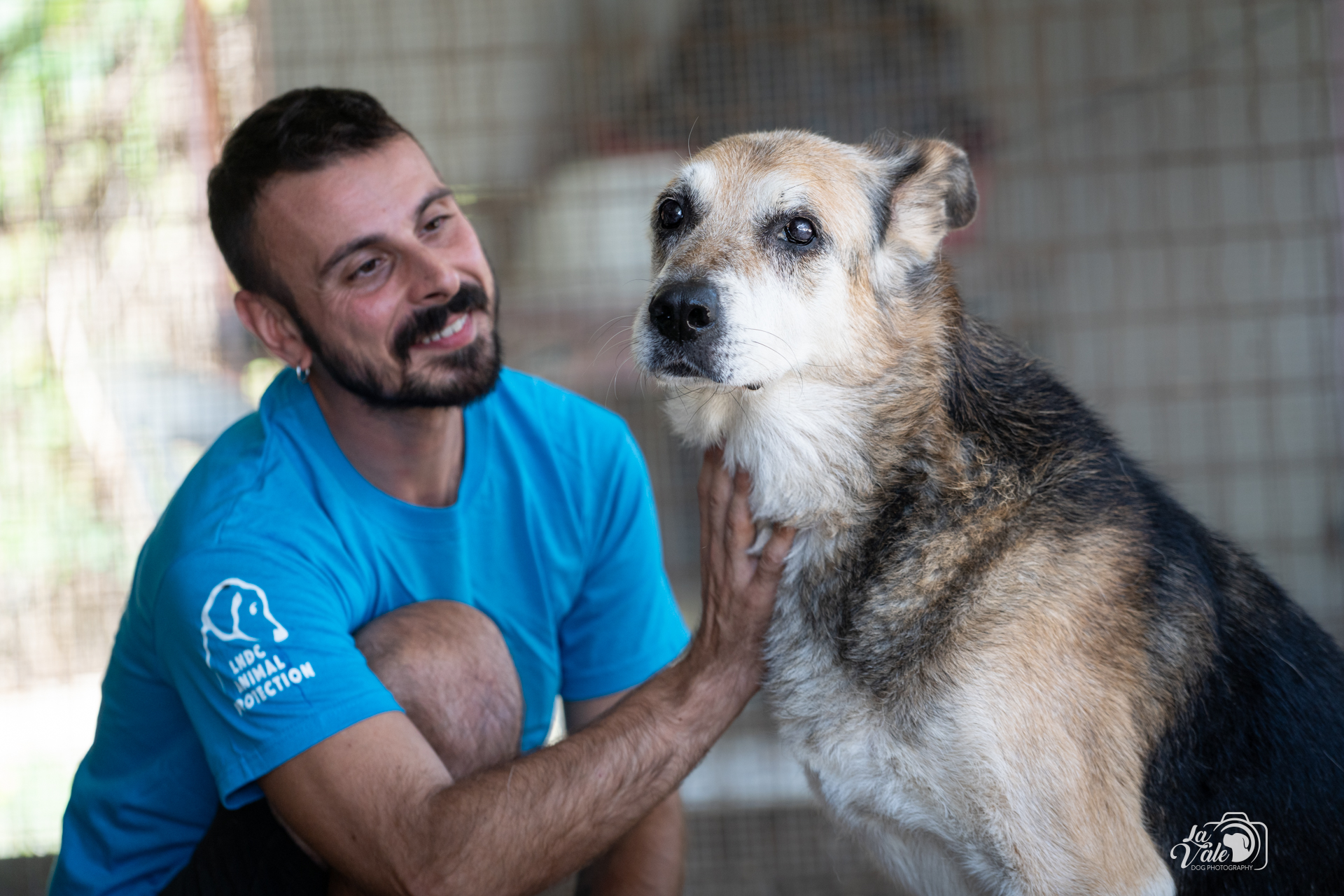 Salviamo i cani di Pescara di LNDC Pescara Salviamo i cani di Pescara-LNDC Pescara