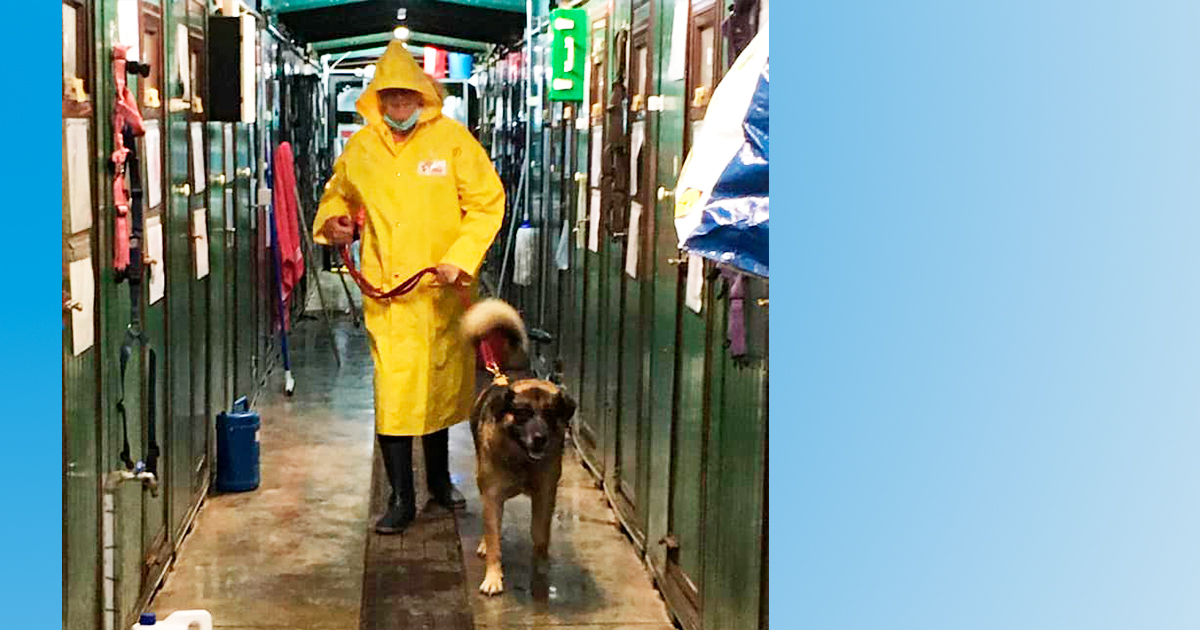 CANILE IN LAGUNA di CANILE IN LAGUNA -