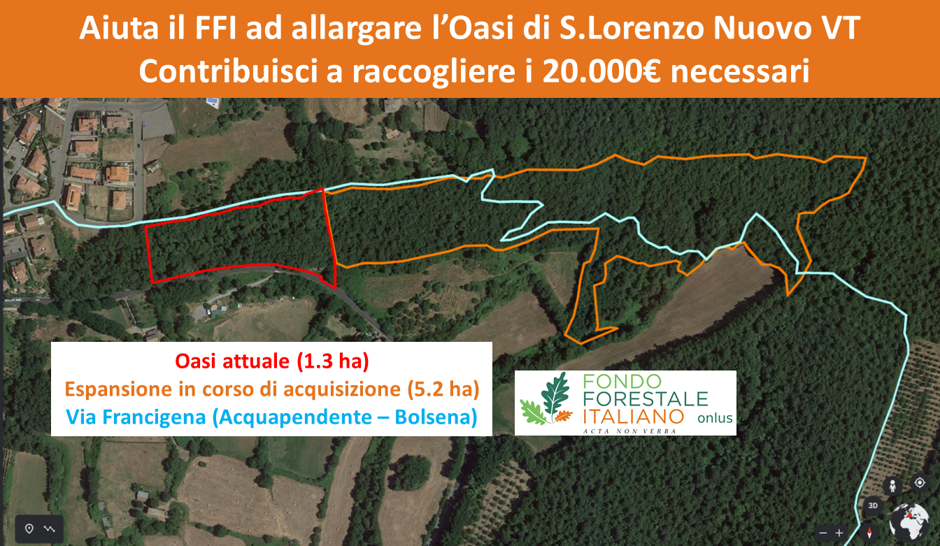 Espandiamo l'Oasi del Fondo Forestale di Fondo Forestale Italiano onlus Espandiamo l'Oasi del Fondo Forestale -Fondo Forestale Italiano onlus