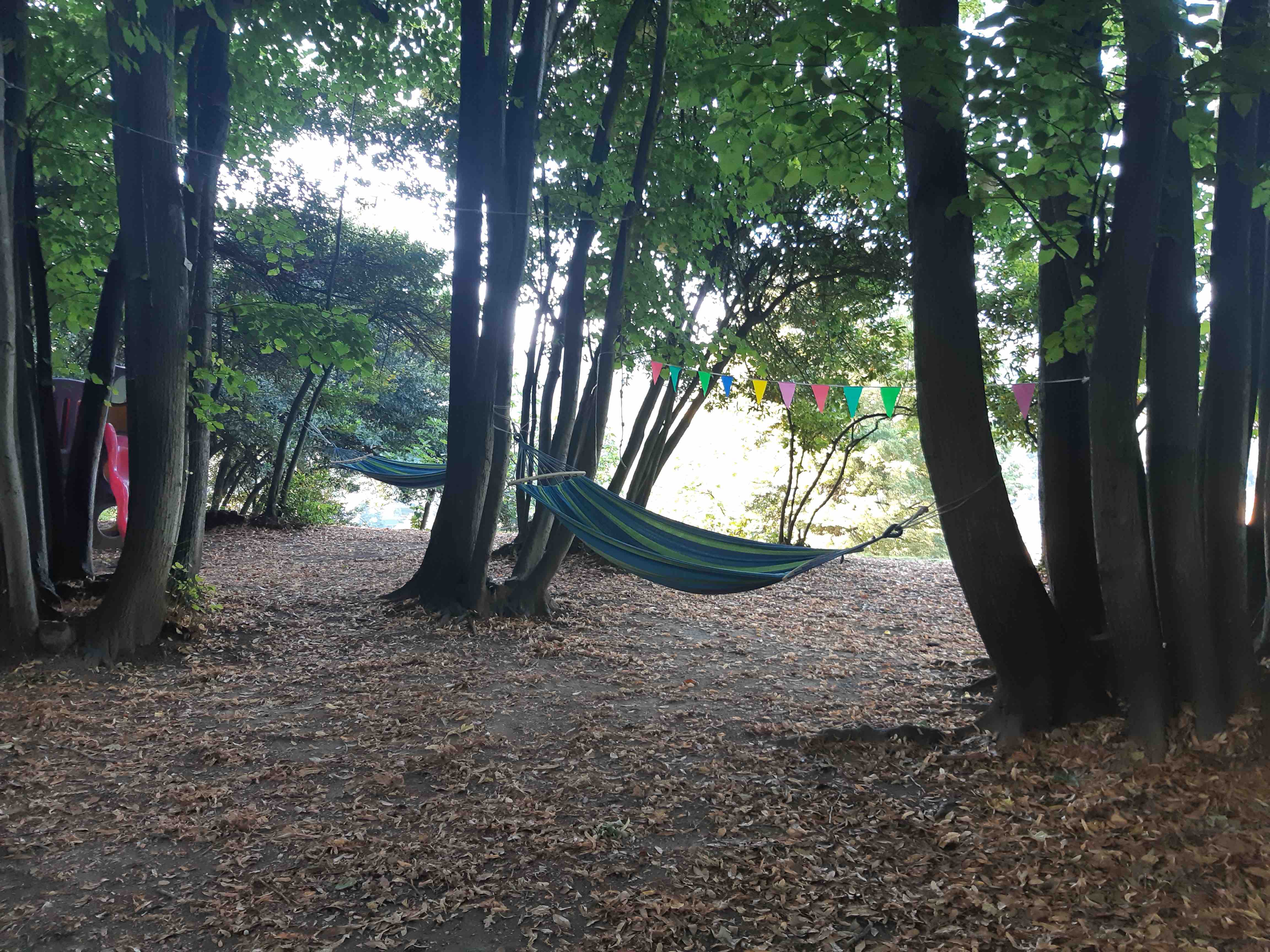 A scuola in natura a #VILLAGENERO di I. C. Bruno Caccia A scuola in natura a #VILLAGENERO-I. C. Bruno Caccia