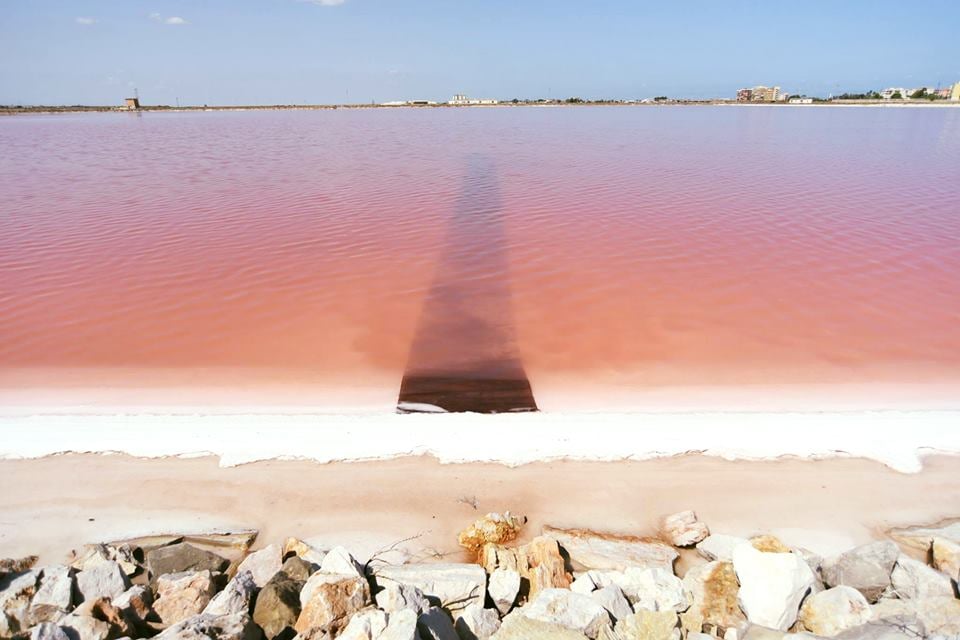 Apulia Land Art Festival - Il Catalogo di UnconventionArt Apulia Land Art Festival - Il Catalogo-UnconventionArt