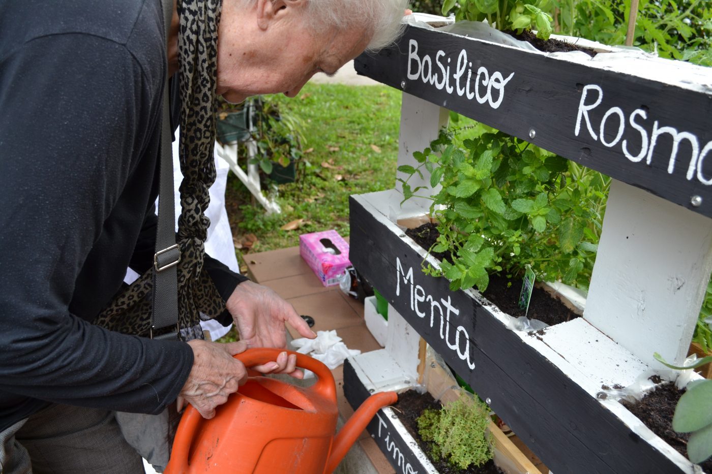 Il Cortile dell'esperienza di Amici del Trivulzio Onlus Il Cortile dell'esperienza-Amici del Trivulzio Onlus