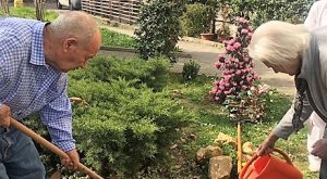 Il Cortile dell'esperienza di Amici del Trivulzio Onlus Il Cortile dell'esperienza-Amici del Trivulzio Onlus