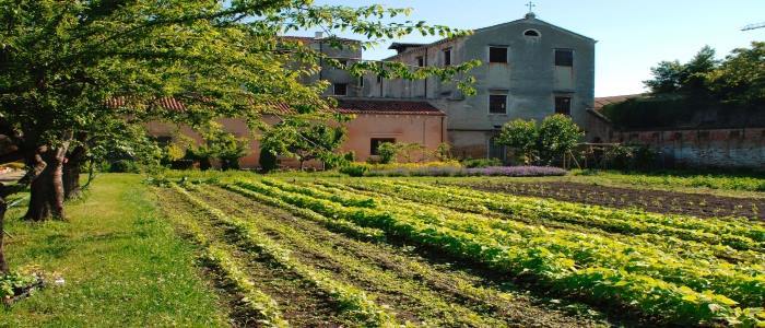 Orto della Giudecca Image