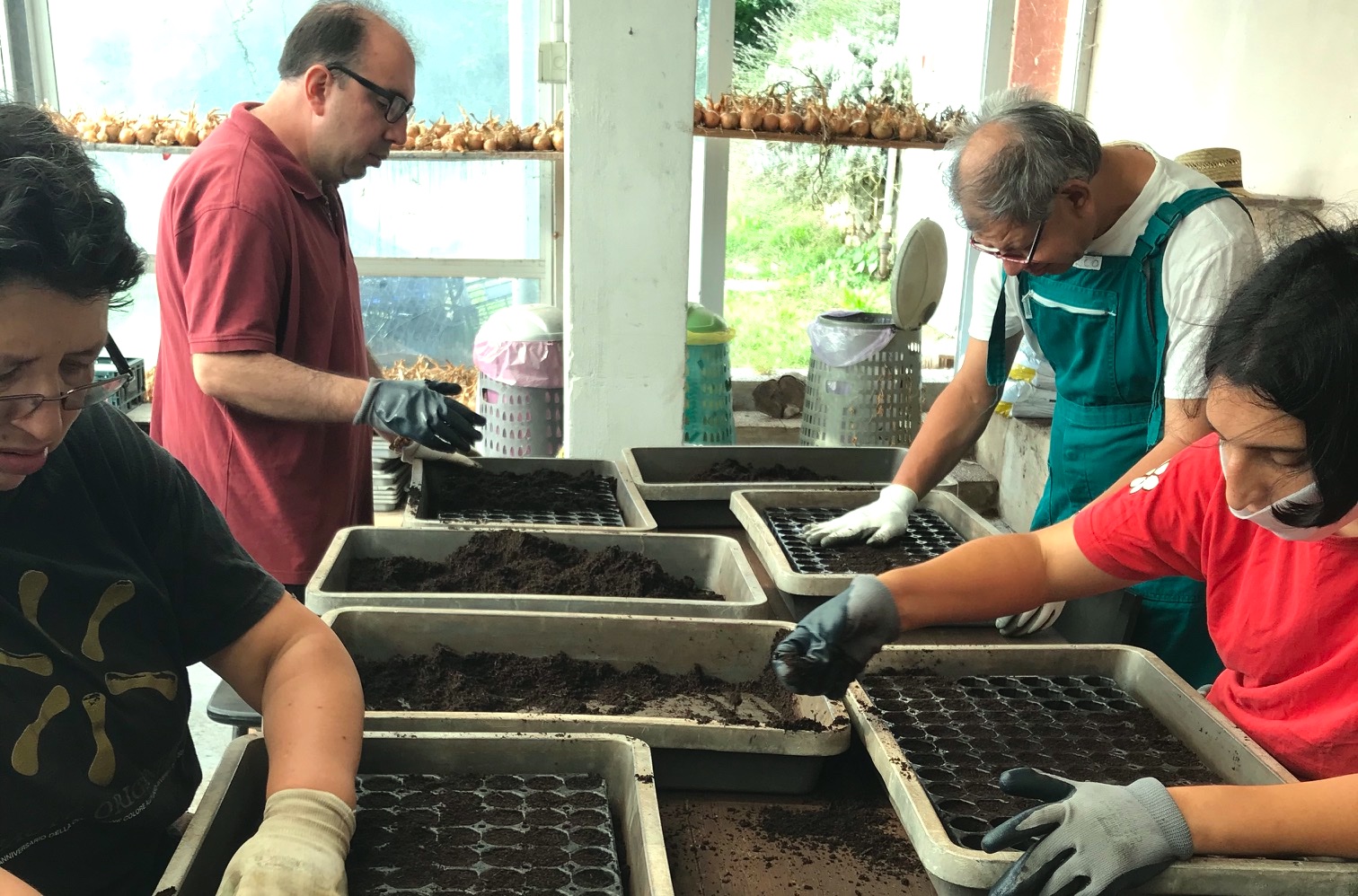 IL VIVAIO DEI TALENTI di La Monda - Fattoria Sociale IL VIVAIO DEI TALENTI-La Monda - Fattoria Sociale